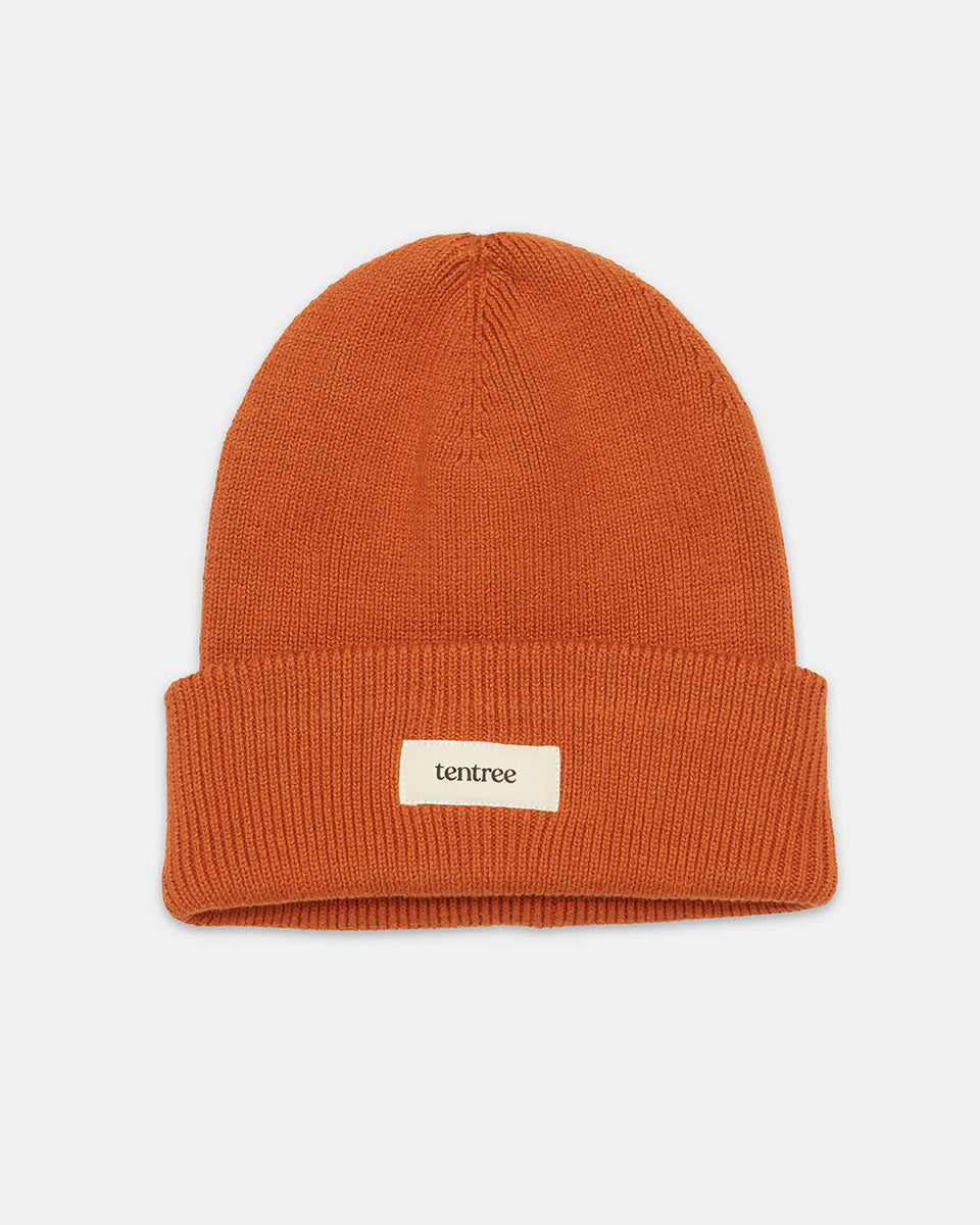 Alden Beanie