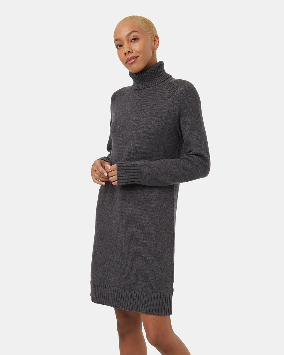 Highline Turtleneck Dress